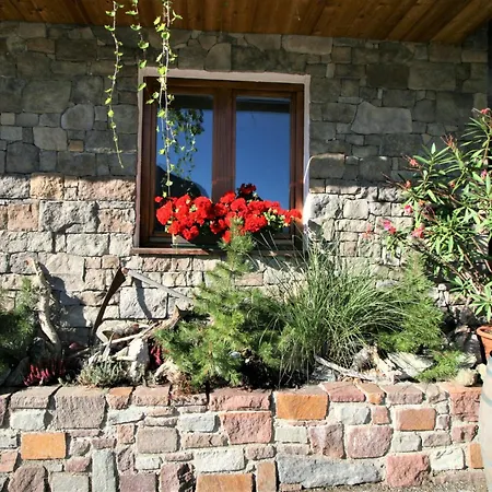 Astholz By Interhome Winkelheim